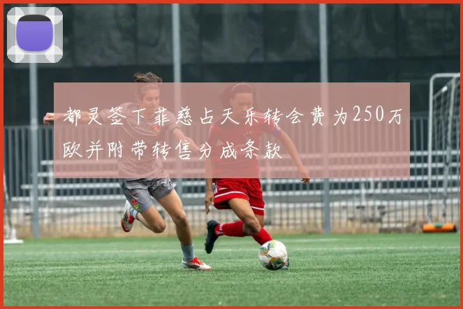 都灵签下菲慈占天乐转会费为250万欧并附带转售分成条款